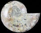 Bargain, Cut Ammonite Fossil (Half) - Agatized #71053-1